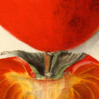 Vintage Plum Tomato Illustration Coffee Mug Gallery Image 2