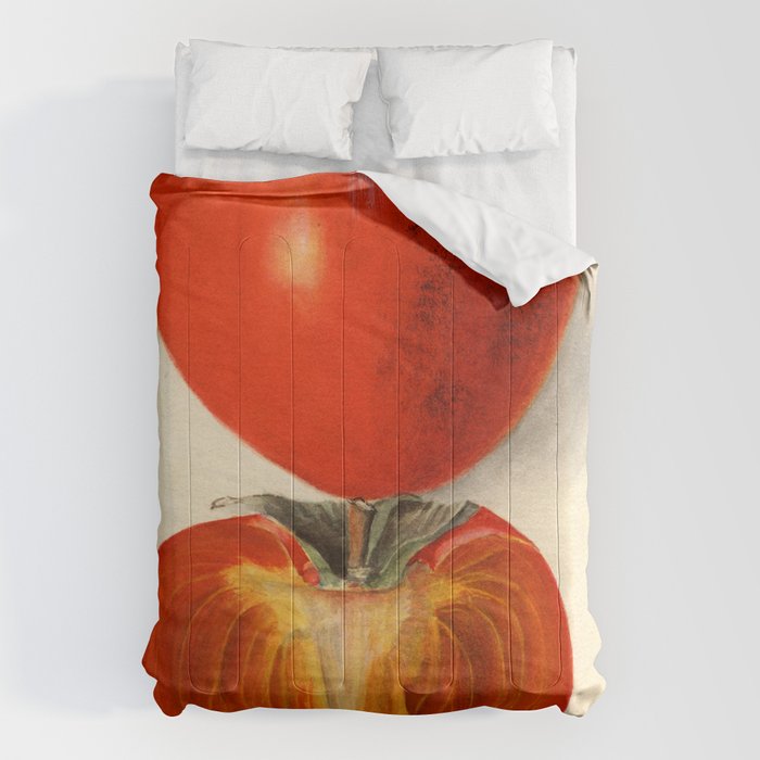 Vintage Plum Tomato Illustration Comforter Gallery Image 6
