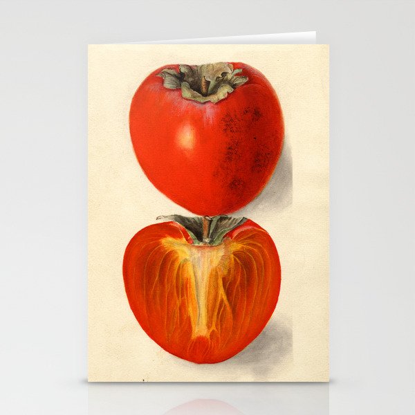 Vintage Plum Tomato Illustration Stationery Card Gallery Image 2