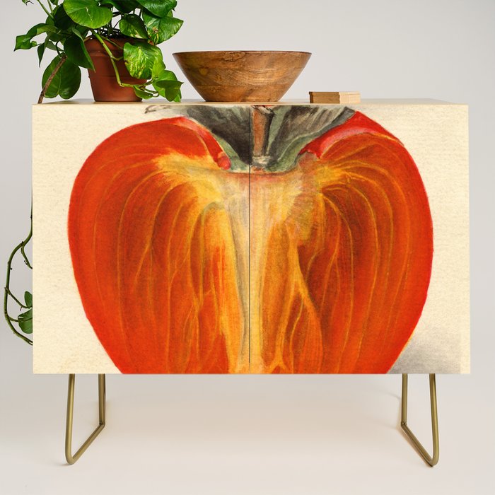 Vintage Plum Tomato Illustration Credenza Gallery Image 1