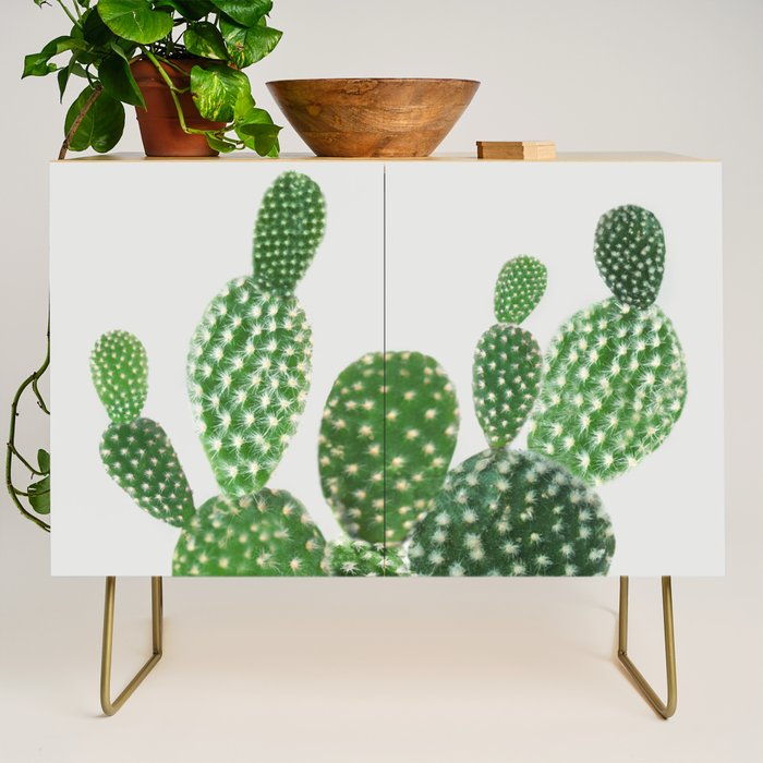 Cactus II Credenza Gallery Image 1