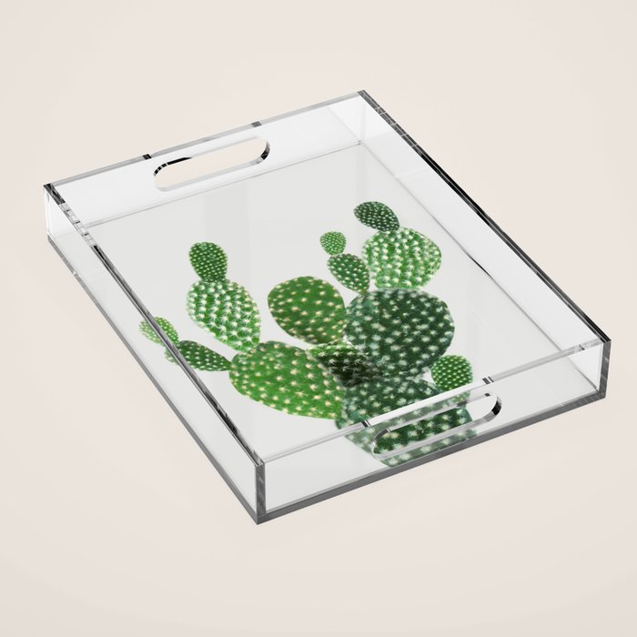 Cactus II Acrylic Tray Gallery Image 1