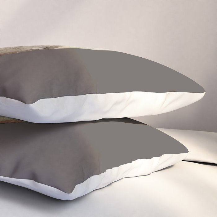 Big Baseball Illustration brown Pillow Sham Gallery Image 3