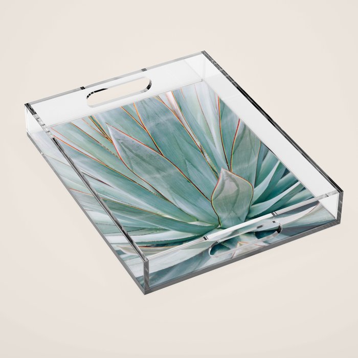 Minimalist Agave Acrylic Tray Gallery Image 1