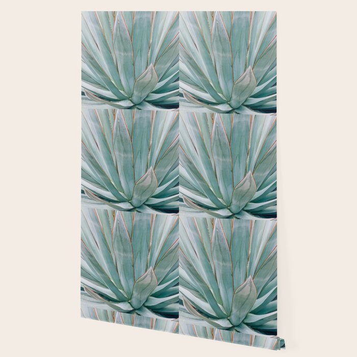 Minimalist Agave Wallpaper Gallery Image 2