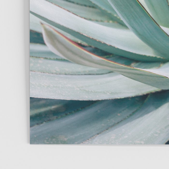 Minimalist Agave Poster Gallery Image 3
