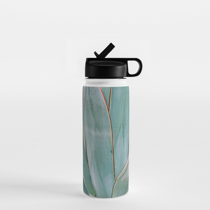 Minimalist Agave Water Bottle Gallery Image 1