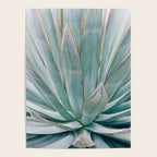 Minimalist Agave Poster Gallery Image 4