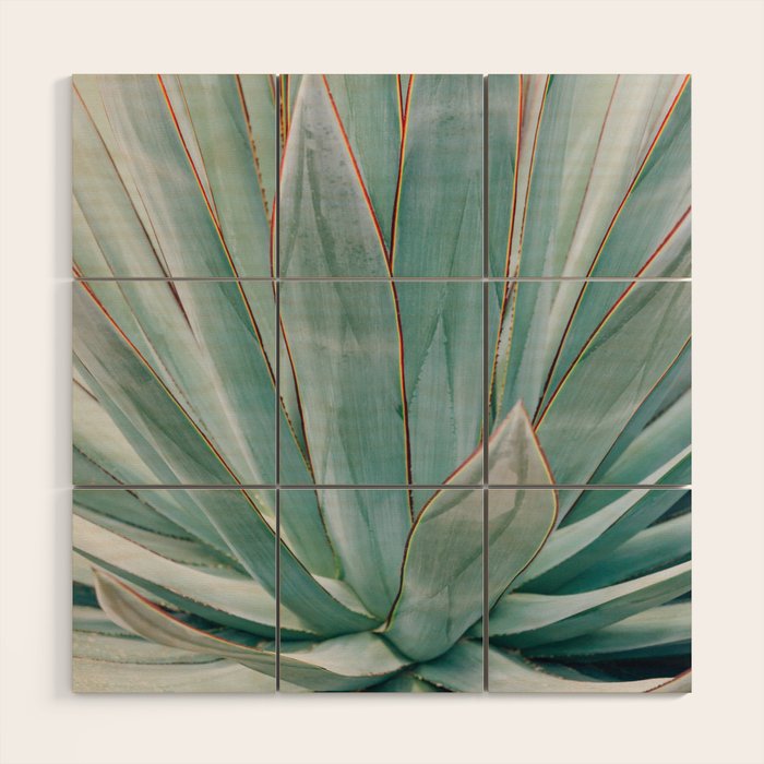 Minimalist Agave Wood Wall Art Gallery Image 1