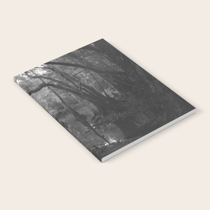 Florida Swamp Notebook Gallery Image 2