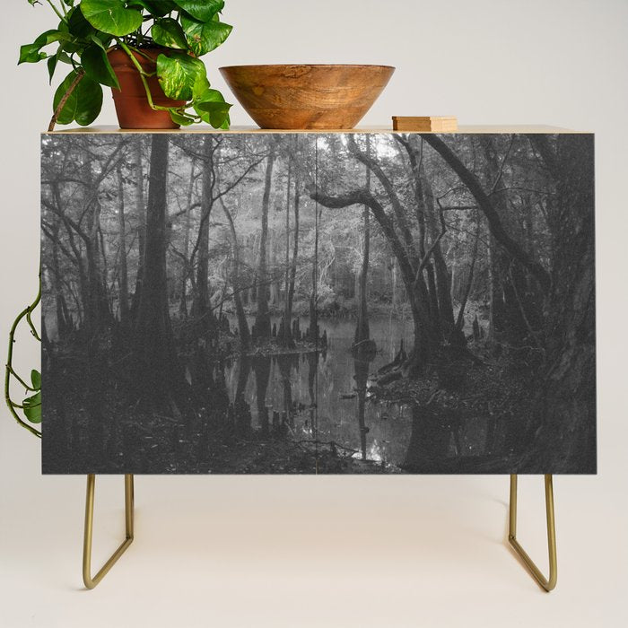 Florida Swamp Credenza Gallery Image 1
