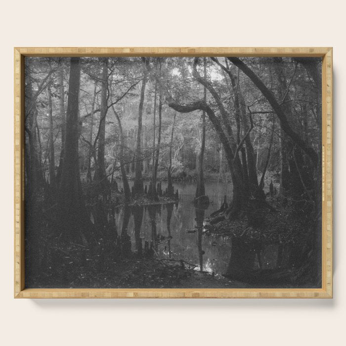 Florida Swamp Serving Tray Gallery Image 1