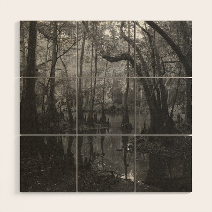 Florida Swamp Wood Wall Art Gallery Image 1