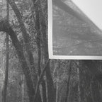 Florida Swamp Wall Tapestry Gallery Image 3