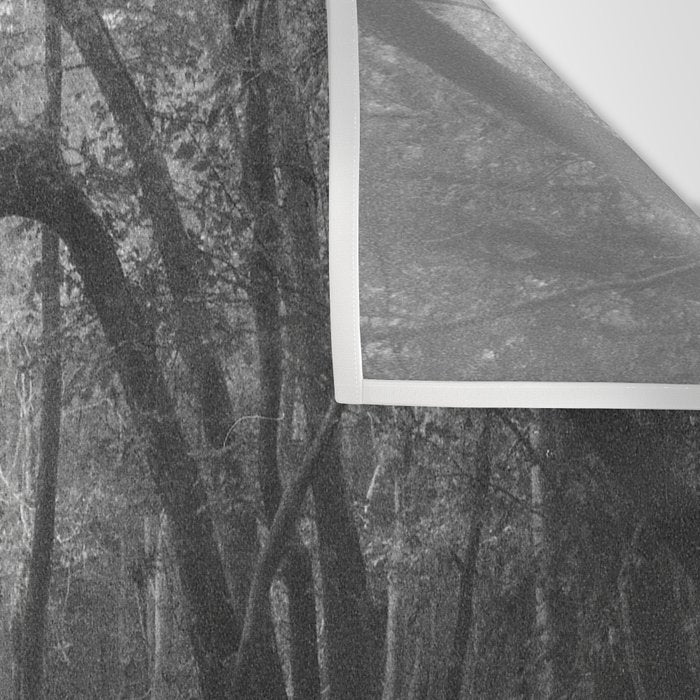 Florida Swamp Wall Tapestry Gallery Image 3