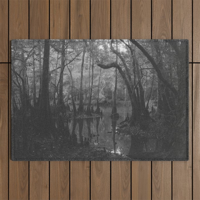 Florida Swamp Outdoor Rug Gallery Image 1