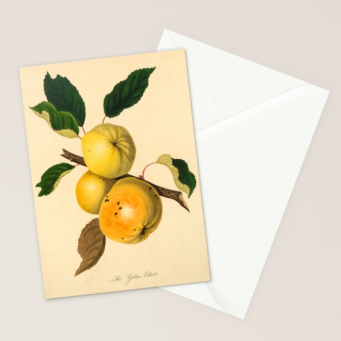The Yellow Elliot Apple (1811) Stationery Card Gallery Image 2