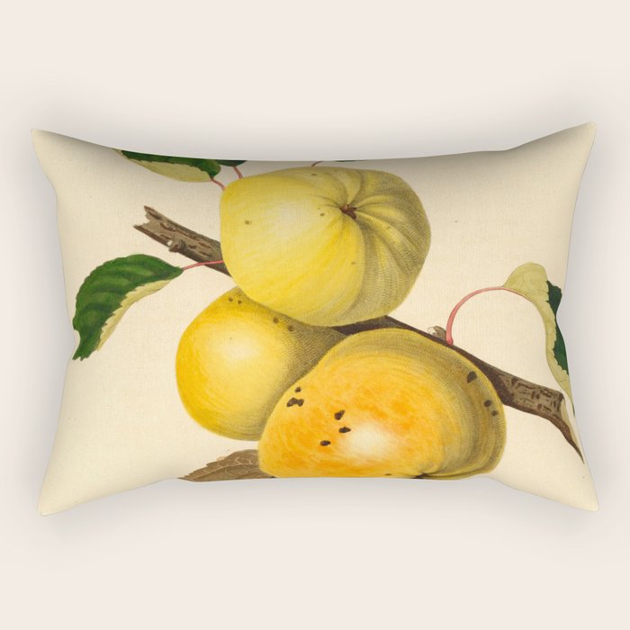 The Yellow Elliot Apple (1811) Rectangular Pillow Gallery Image 2