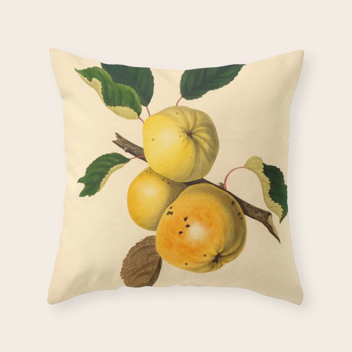 The Yellow Elliot Apple (1811) Throw Pillow Gallery Image 1