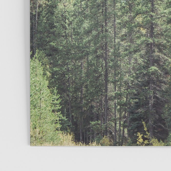 Treeline - Nature and Landscape Photography Poster Gallery Image 3