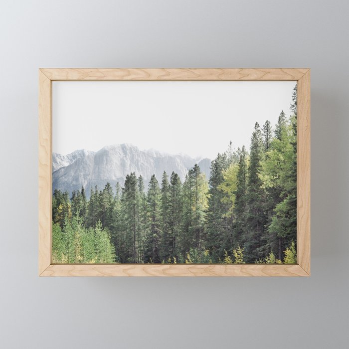 Treeline - Nature and Landscape Photography Mini Art Print Gallery Image 1