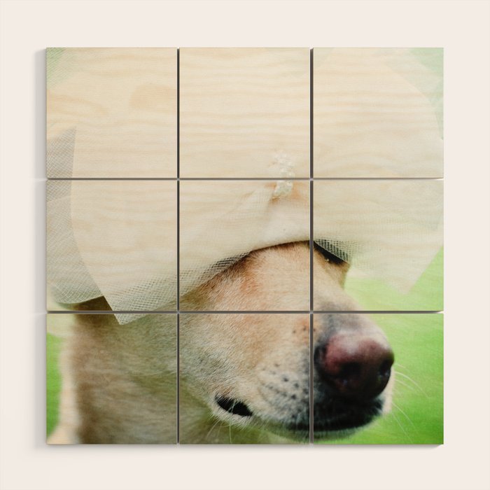 Portrait of a Dog Wood Wall Art Gallery Image 1