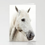 White Horse | Animal Art Print | Nature Photography Stationery Card Gallery Image 2