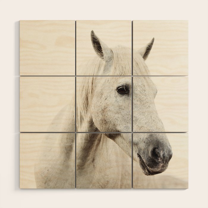 White Horse | Animal Art Print | Nature Photography Wood Wall Art Gallery Image 1
