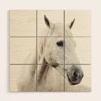 White Horse | Animal Art Print | Nature Photography Wood Wall Art Gallery Image 1