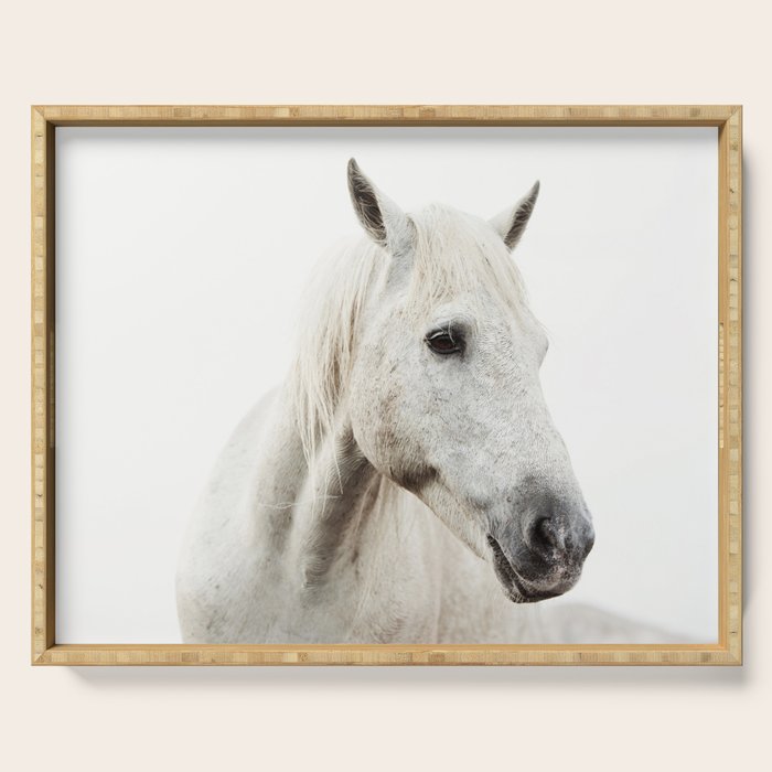 White Horse | Animal Art Print | Nature Photography Serving Tray Gallery Image 1