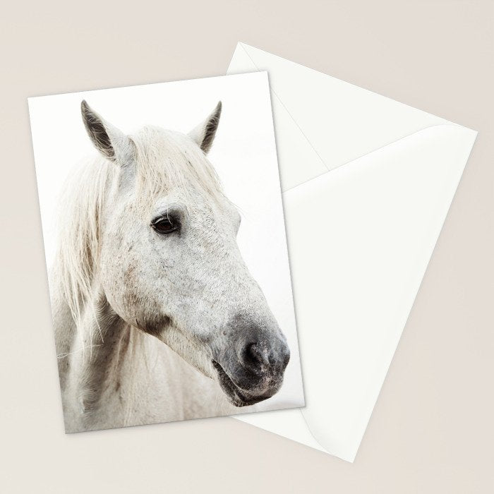 White Horse | Animal Art Print | Nature Photography Stationery Card Gallery Image 2