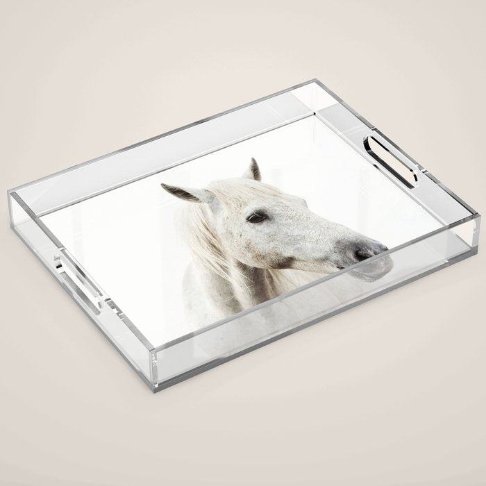White Horse | Animal Art Print | Nature Photography Acrylic Tray Gallery Image 1