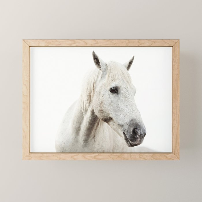 White Horse | Animal Art Print | Nature Photography Mini Art Print Gallery Image 1