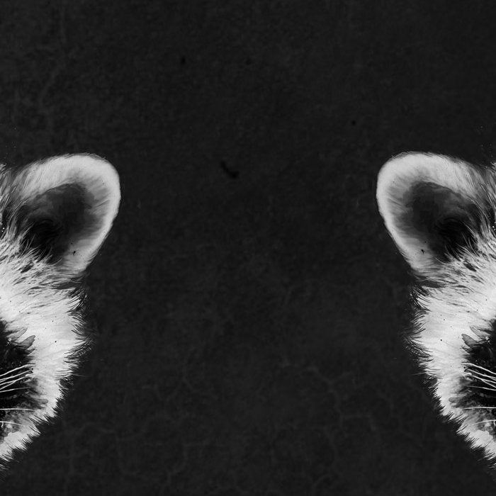 Raccoon Coffee Mug Gallery Image 2