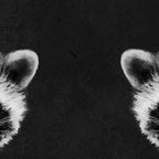 Raccoon Coffee Mug Gallery Image 2