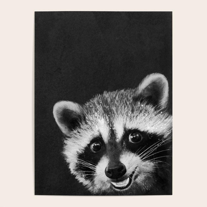 Raccoon Poster Gallery Image 1