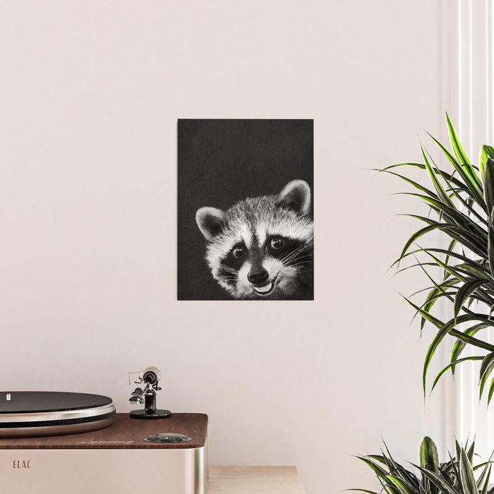 Raccoon Poster Gallery Image 2