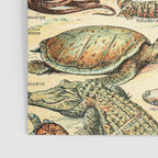 Reptiles II by Adolphe Millot // XL 19th Century Snakes Lizards Alligators Science Textbook Artwork Poster Gallery Image 3