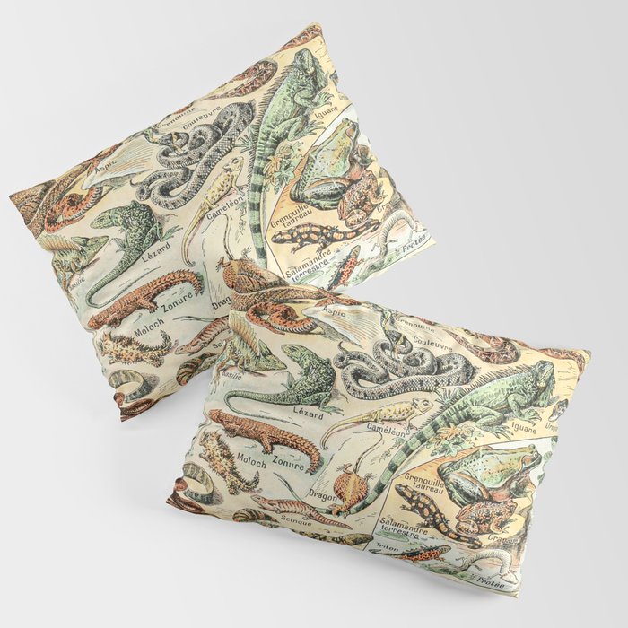 Reptiles II by Adolphe Millot // XL 19th Century Snakes Lizards Alligators Science Textbook Artwork Pillow Sham Gallery Image 1
