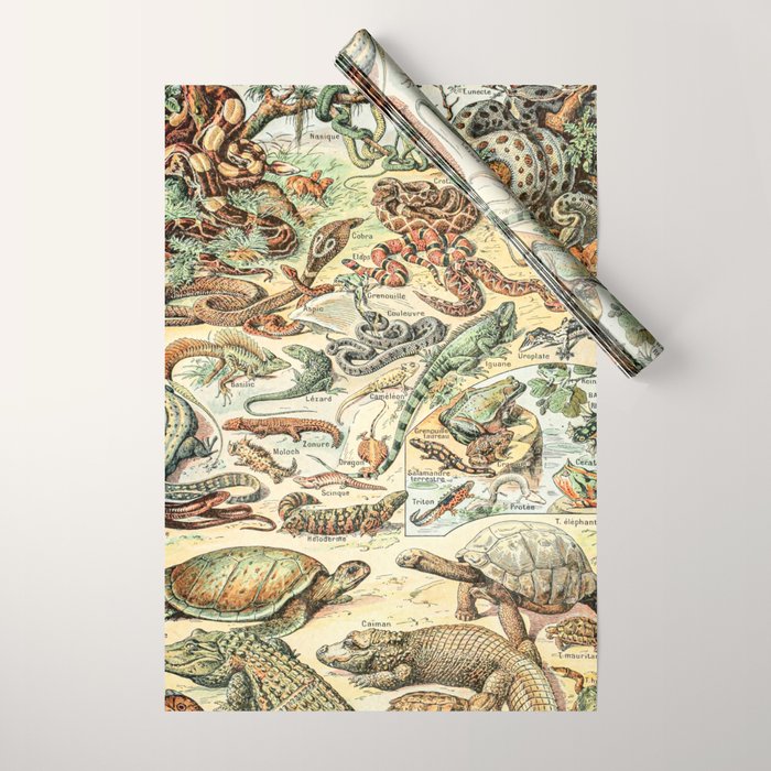 Reptiles II by Adolphe Millot // XL 19th Century Snakes Lizards Alligators Science Textbook Artwork Wrapping Paper Gallery Image 1