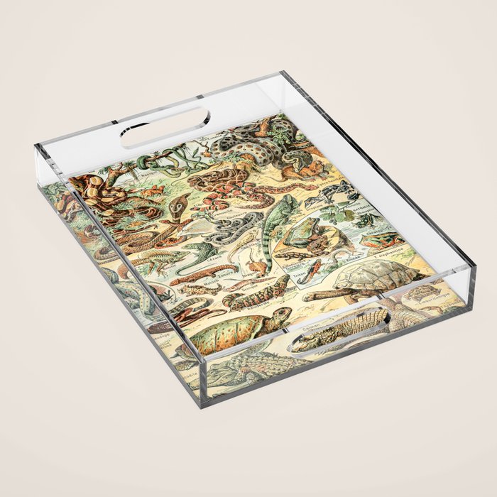 Reptiles II by Adolphe Millot // XL 19th Century Snakes Lizards Alligators Science Textbook Artwork Acrylic Tray Gallery Image 1
