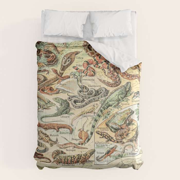 Reptiles II by Adolphe Millot // XL 19th Century Snakes Lizards Alligators Science Textbook Artwork Comforter Gallery Image 6