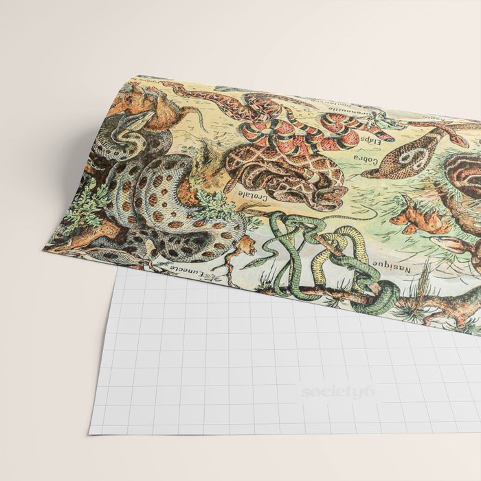 Reptiles II by Adolphe Millot // XL 19th Century Snakes Lizards Alligators Science Textbook Artwork Wrapping Paper Gallery Image 2