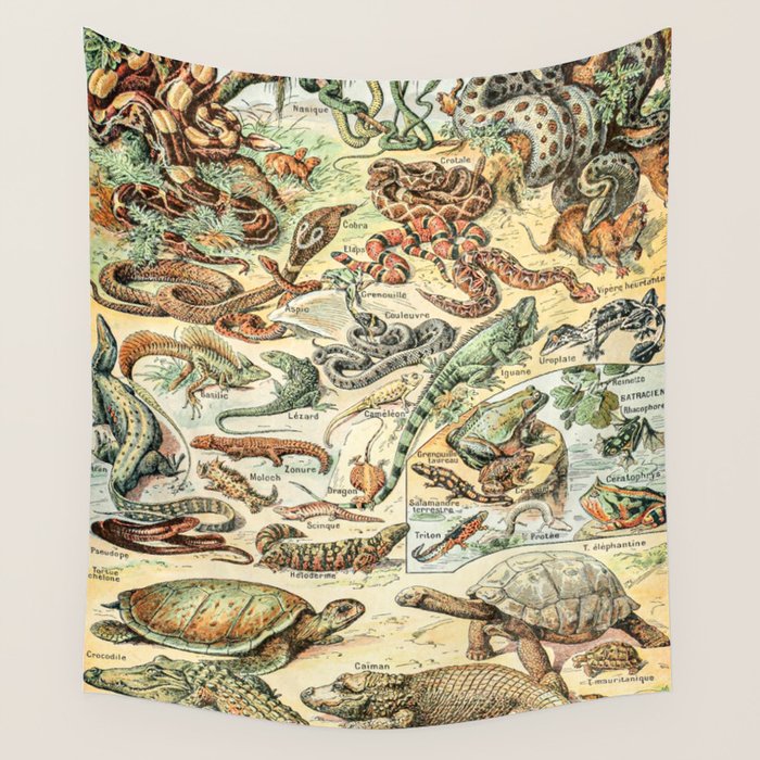 Reptiles II by Adolphe Millot // XL 19th Century Snakes Lizards Alligators Science Textbook Artwork Wall Tapestry Gallery Image 1