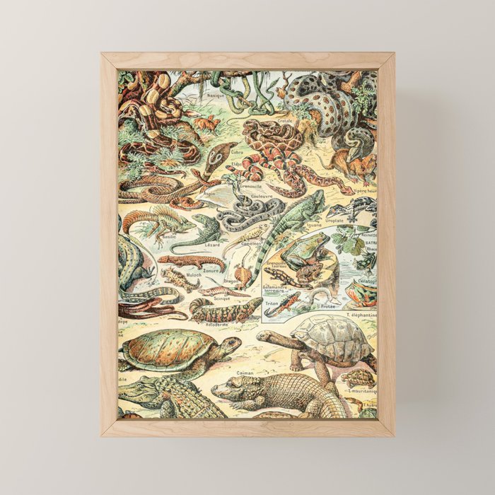 Reptiles II by Adolphe Millot // XL 19th Century Snakes Lizards Alligators Science Textbook Artwork Mini Art Print Gallery Image 1