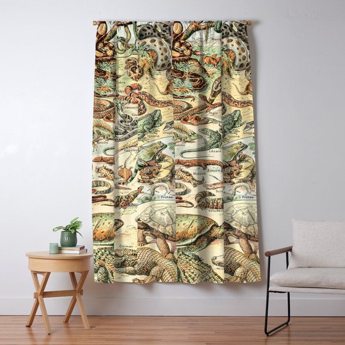 Reptiles II by Adolphe Millot // XL 19th Century Snakes Lizards Alligators Science Textbook Artwork Window Curtain Gallery Image 5