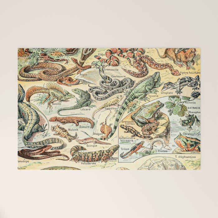 Reptiles II by Adolphe Millot // XL 19th Century Snakes Lizards Alligators Science Textbook Artwork Welcome Mat Gallery Image 1