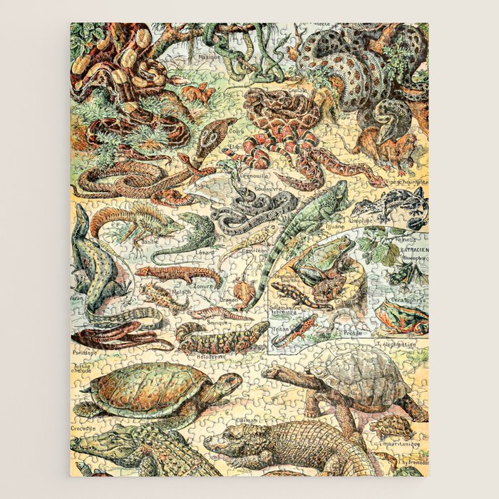 Reptiles II by Adolphe Millot // XL 19th Century Snakes Lizards Alligators Science Textbook Artwork Jigsaw Puzzle Gallery Image 1