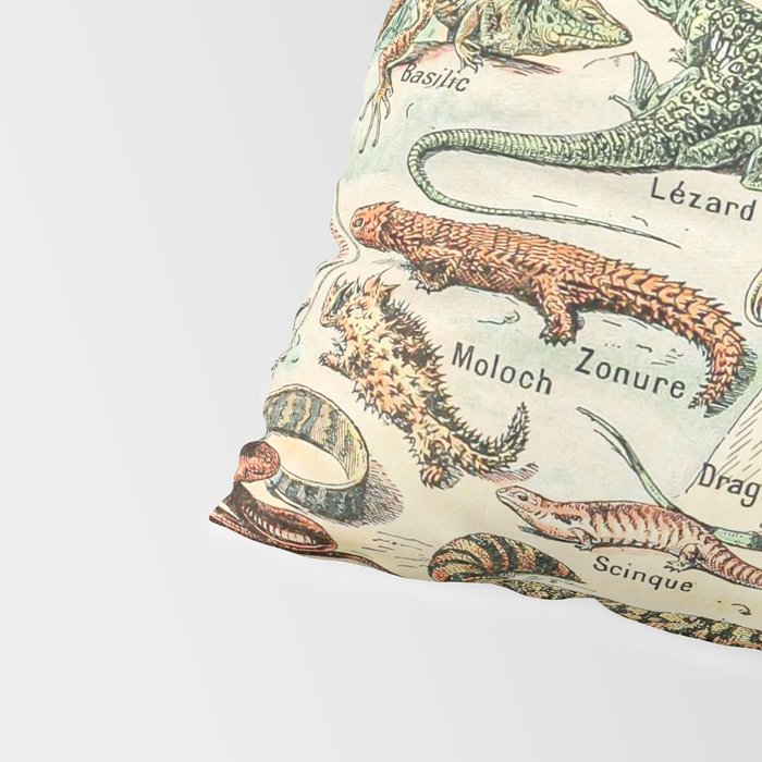 Reptiles II by Adolphe Millot // XL 19th Century Snakes Lizards Alligators Science Textbook Artwork Pillow Sham Gallery Image 4