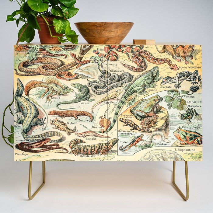 Reptiles II by Adolphe Millot // XL 19th Century Snakes Lizards Alligators Science Textbook Artwork Credenza Gallery Image 1